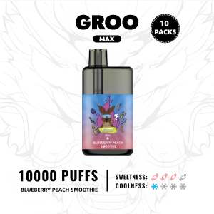 GROO MAX BLUEBERRY PEACH SMOOTHIE