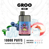 GROO MAX BLUEBERRY PEACH SMOOTHIE