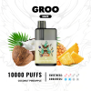 GROO MAX COCONUT PINEAPPLE - 10 PACK BULK