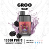 GROO MAX BLACKBERRY RASPBERRY - 10 PACK BULK