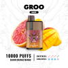 GROO MAX BLOOD ORANGE MANGO - 10 PACK BULK