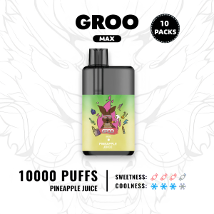 GROO MAX PINEAPPLE JUICE