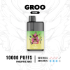 GROO MAX - PINEAPPLE JUICE